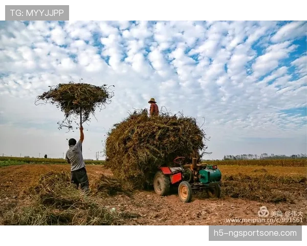 杨威家里那冰箱到底塞了多少蛋白粉啊，快赶上他训练强度了吧