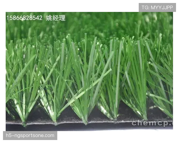 草坪场地规则拆解：标准尺寸与维护细节全解析